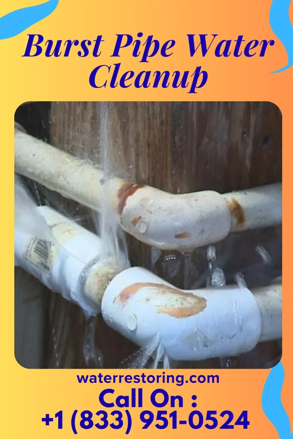 Burst Pipe Water Cleanup in Lackawanna, NY