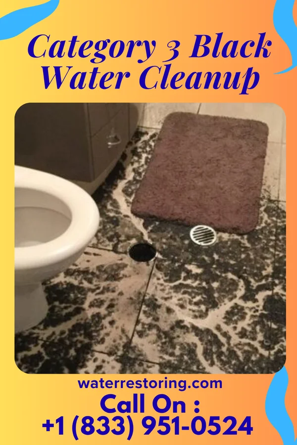 Category 3 Black Water Cleanup in Lackawanna, NY