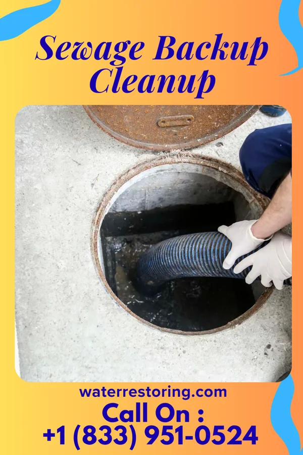 Sewage Backup Cleanup in Lackawanna, NY
